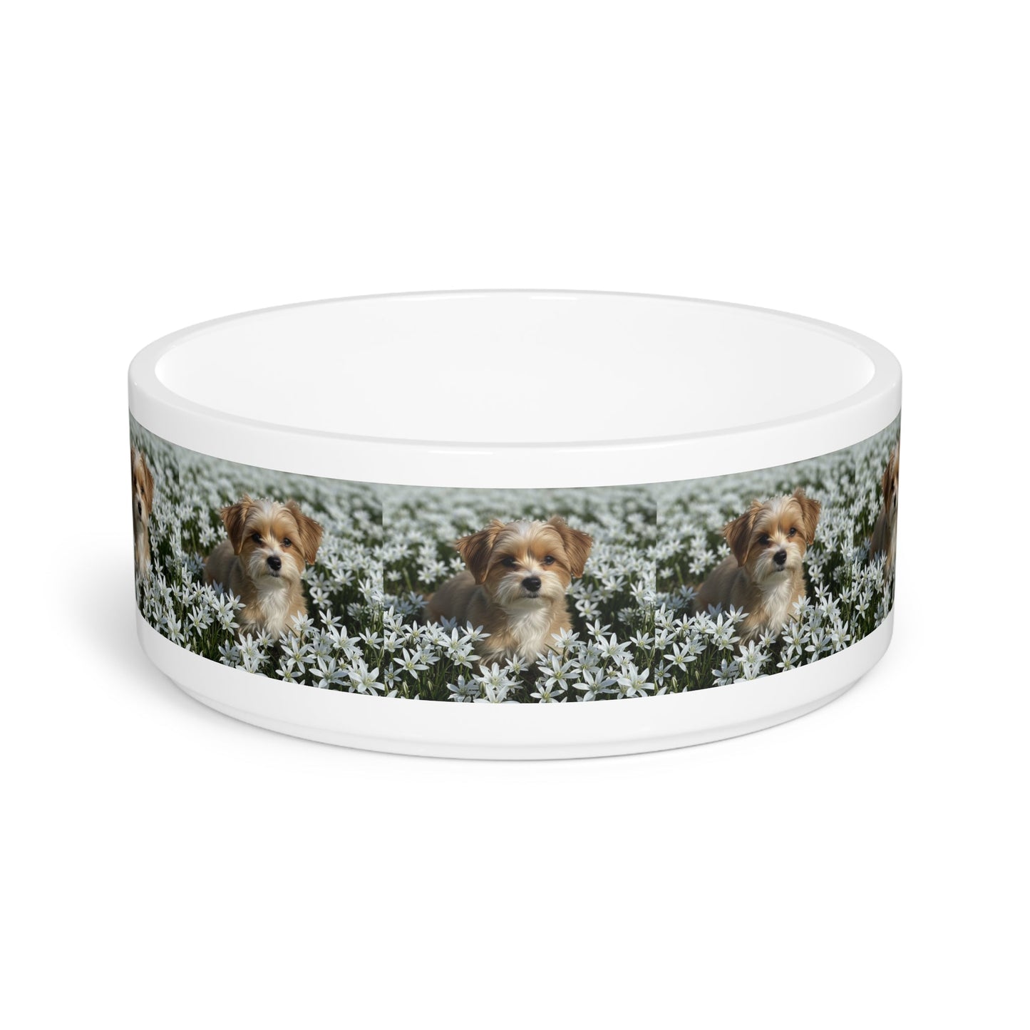 Ceramic Pet Bowl – 16 oz Dog Feeding Bowl