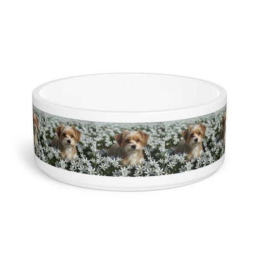 Ceramic Pet Bowl – 16 oz Dog Feeding Bowl