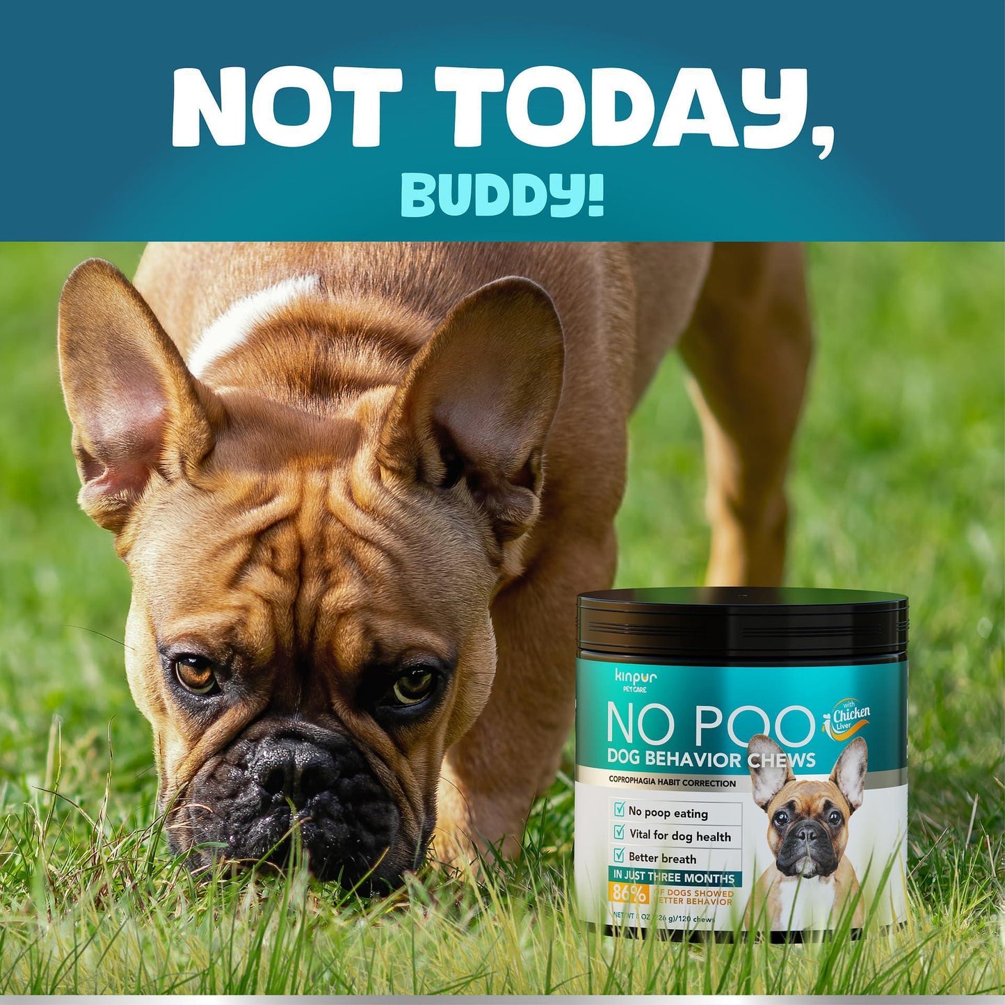 No Poo Chews for Dogs Stop Poop Eating Behavior Probiotics and Digestive