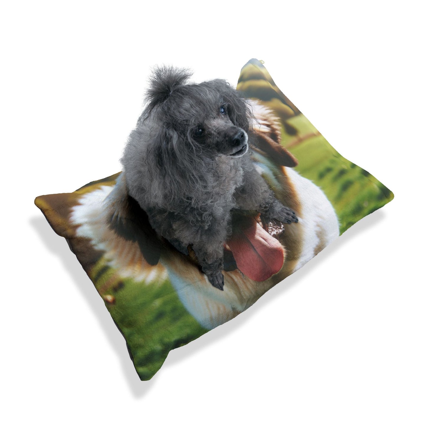 Lit pour animaux de compagnie – Lit douillet pour chien, 3 tailles disponibles