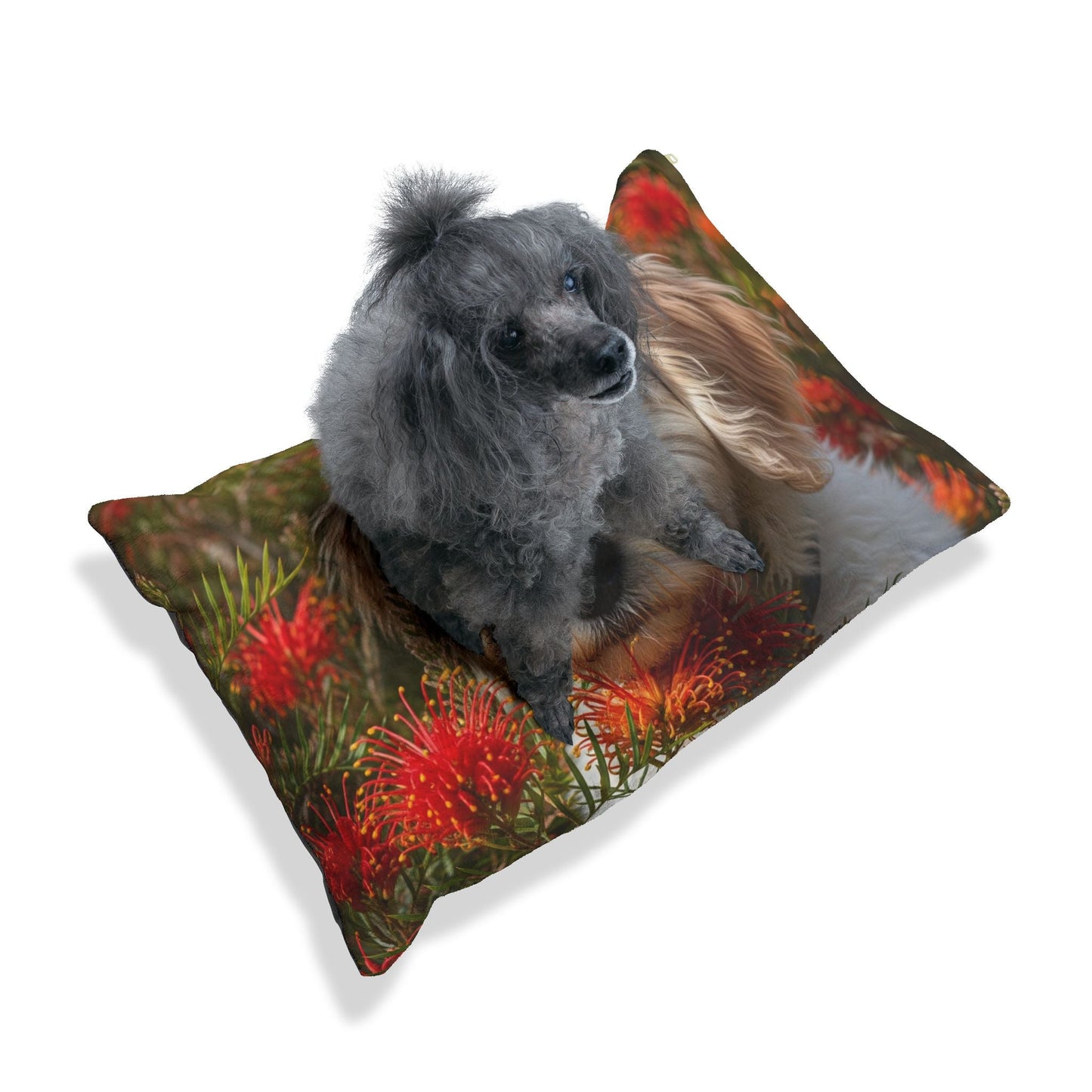 Pet Bed – Plush Dog Bed, 3 Size Options