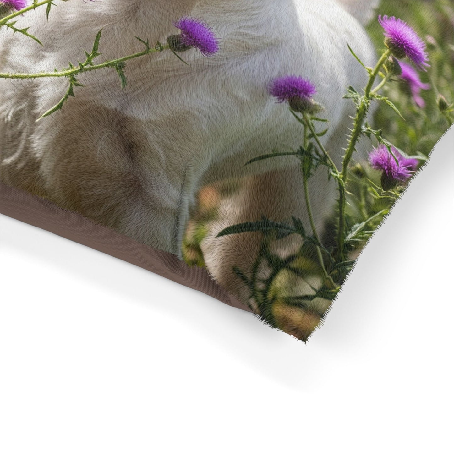 Pet Bed – Plush Dog Bed, 3 Size Options