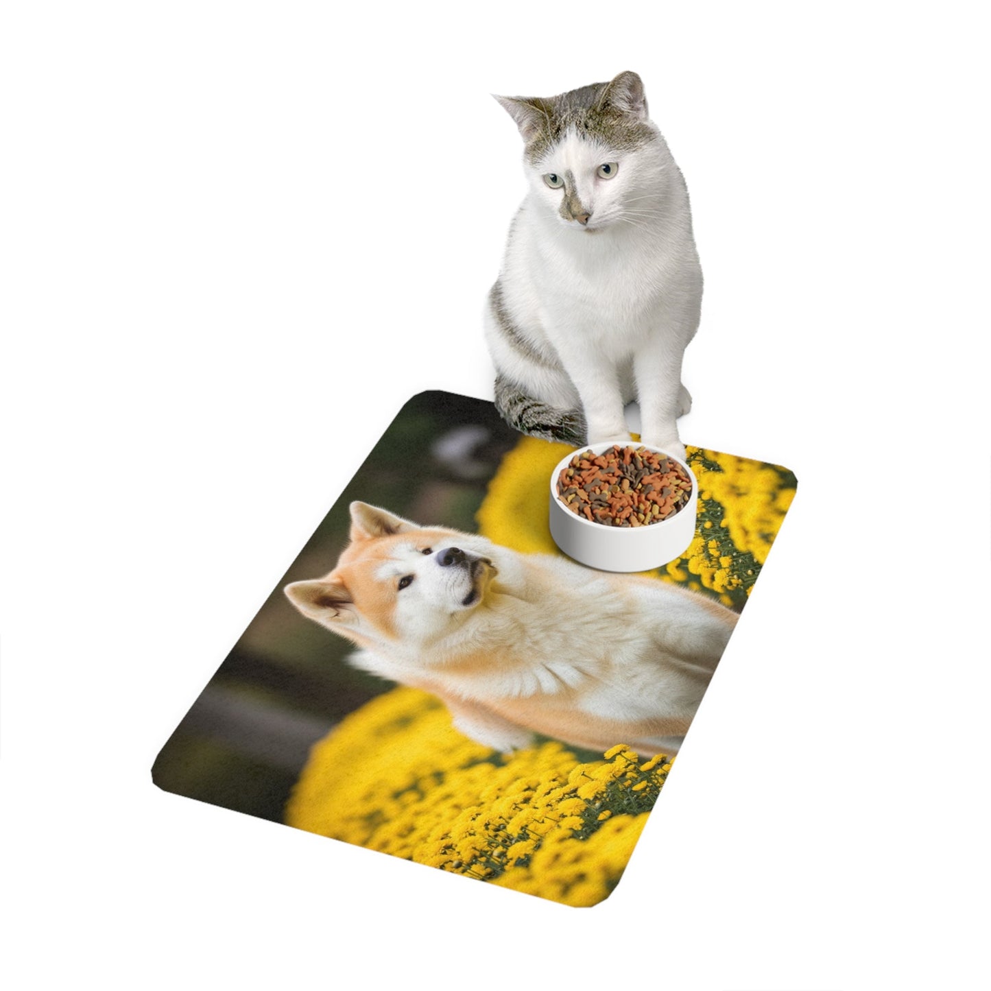 Tapis antidérapant pour animaux de compagnie – Tapis d'alimentation étanche pour chiens