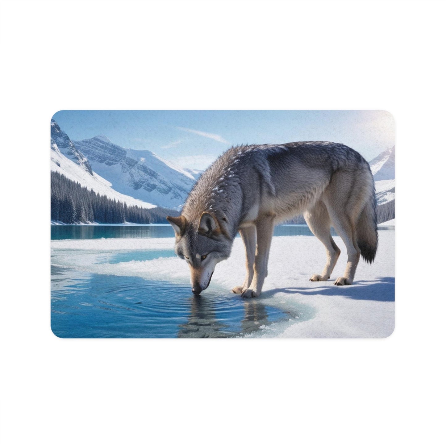 Tapis antidérapant pour animaux de compagnie – Tapis d'alimentation étanche pour chiens
