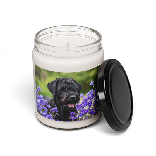 Bougie en cire de soja – Bougie parfumée en pot