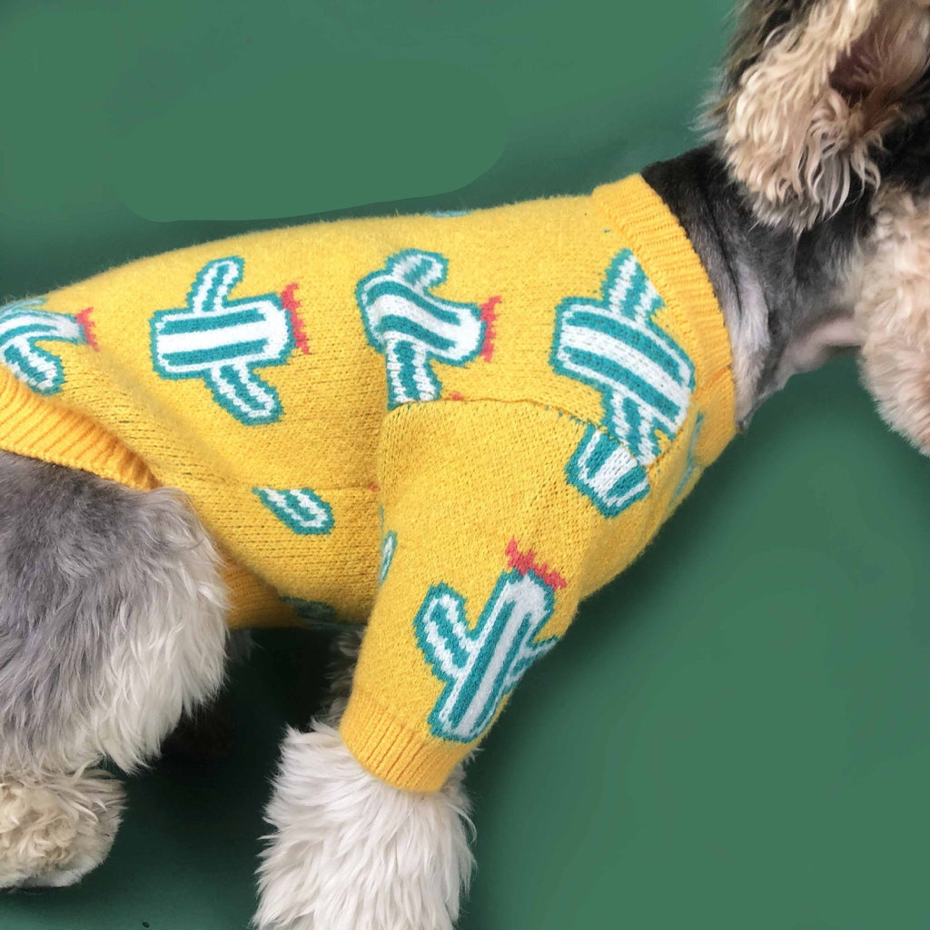 Pet cactus sweater