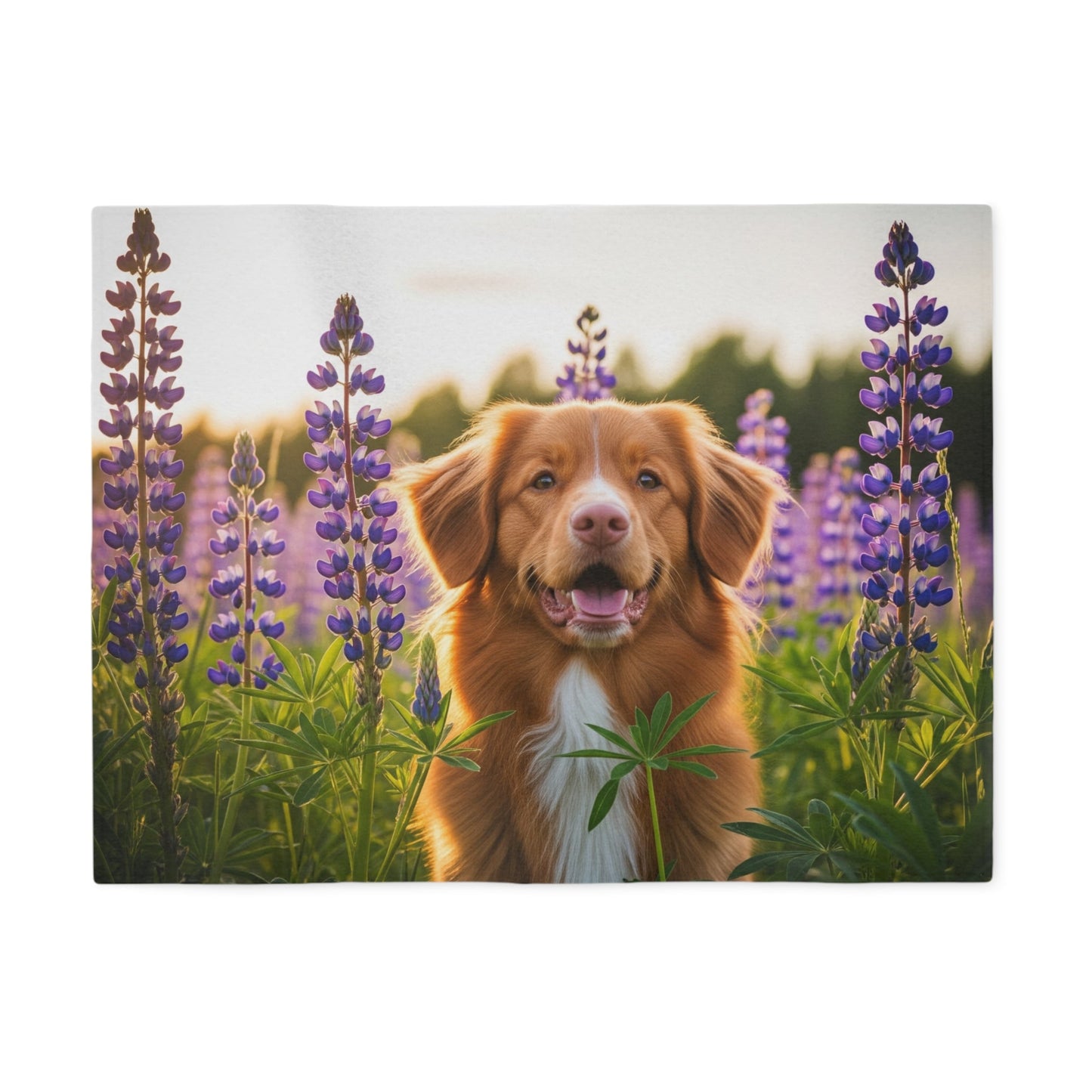 Sweatshirt Blanket – Plush Fleece Throw, 2 Size Options