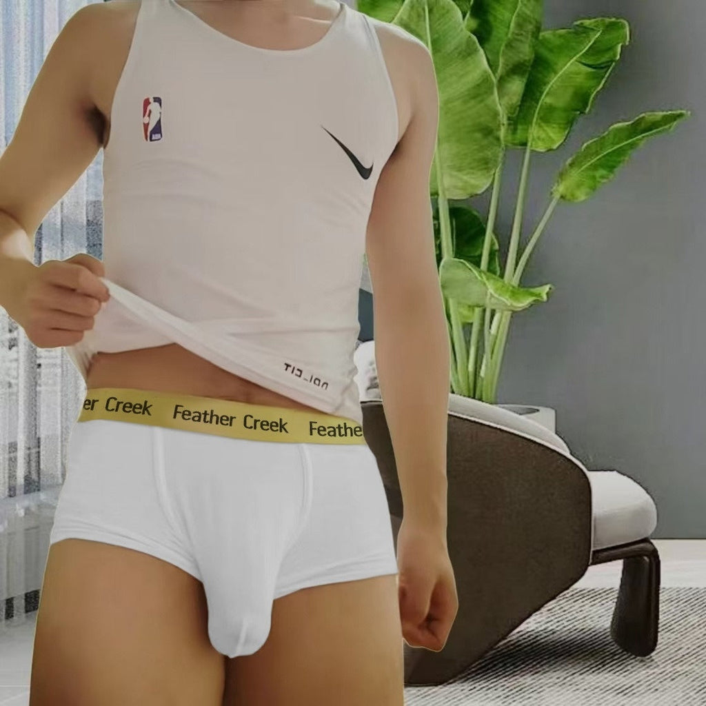 Men's U-shaped Breathable Underwear Boxers