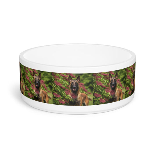 Ceramic Pet Bowl – 16 oz Dog Feeding Bowl