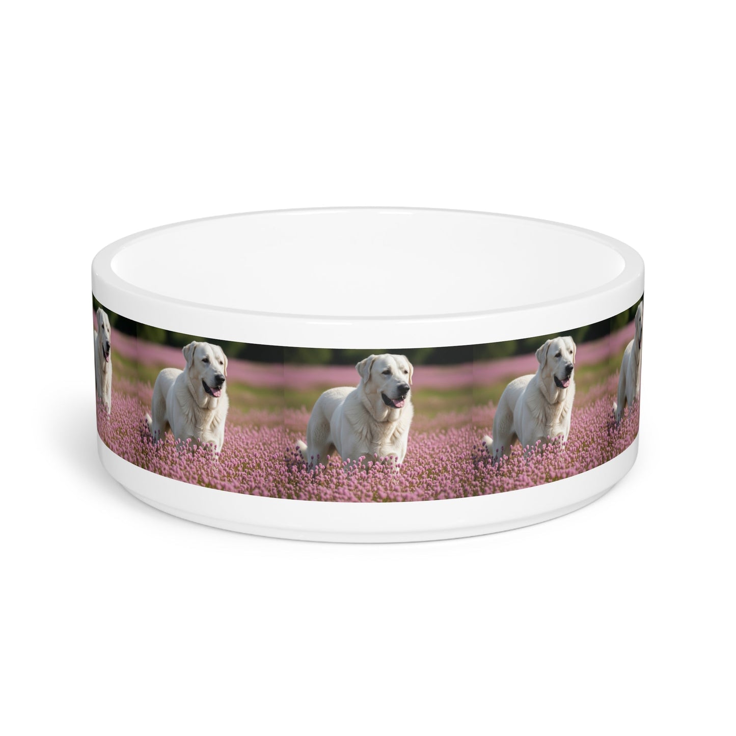 Ceramic Pet Bowl – 16 oz Dog Feeding Bowl