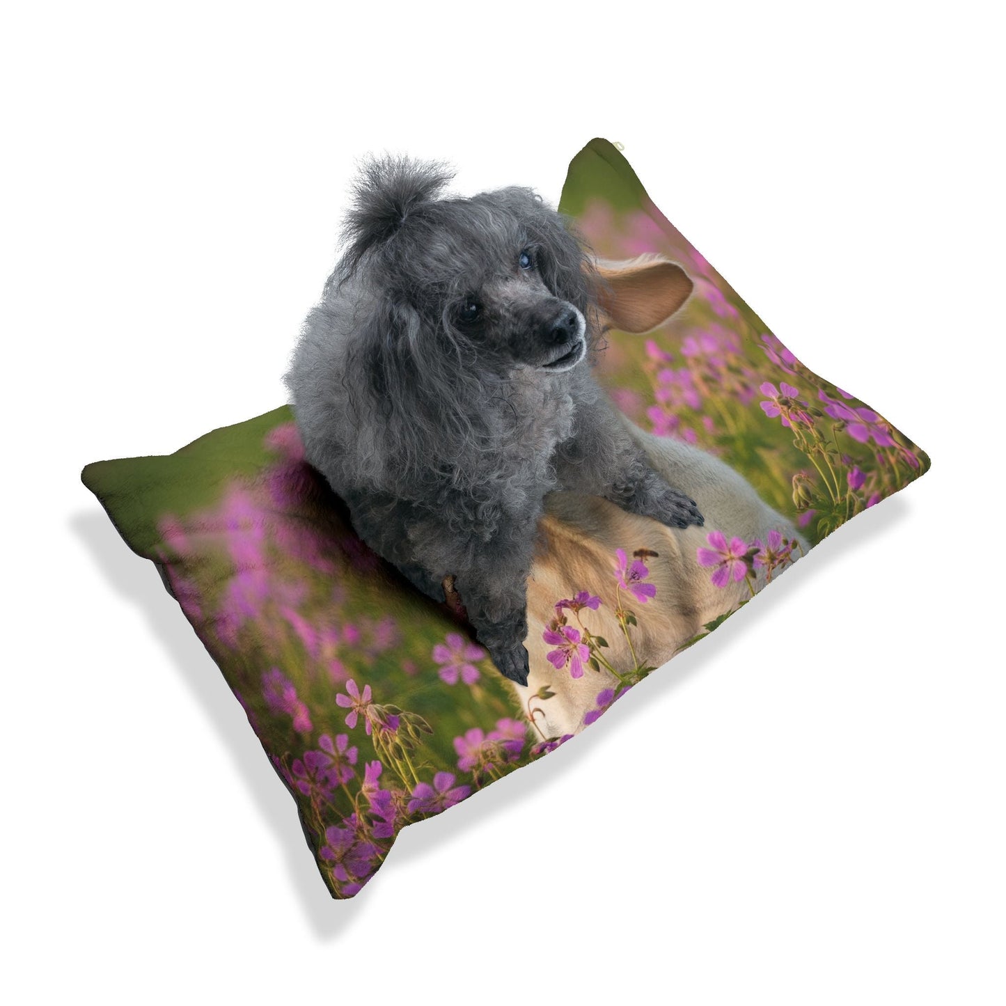Lit pour animaux de compagnie – Lit douillet pour chien, 3 tailles disponibles