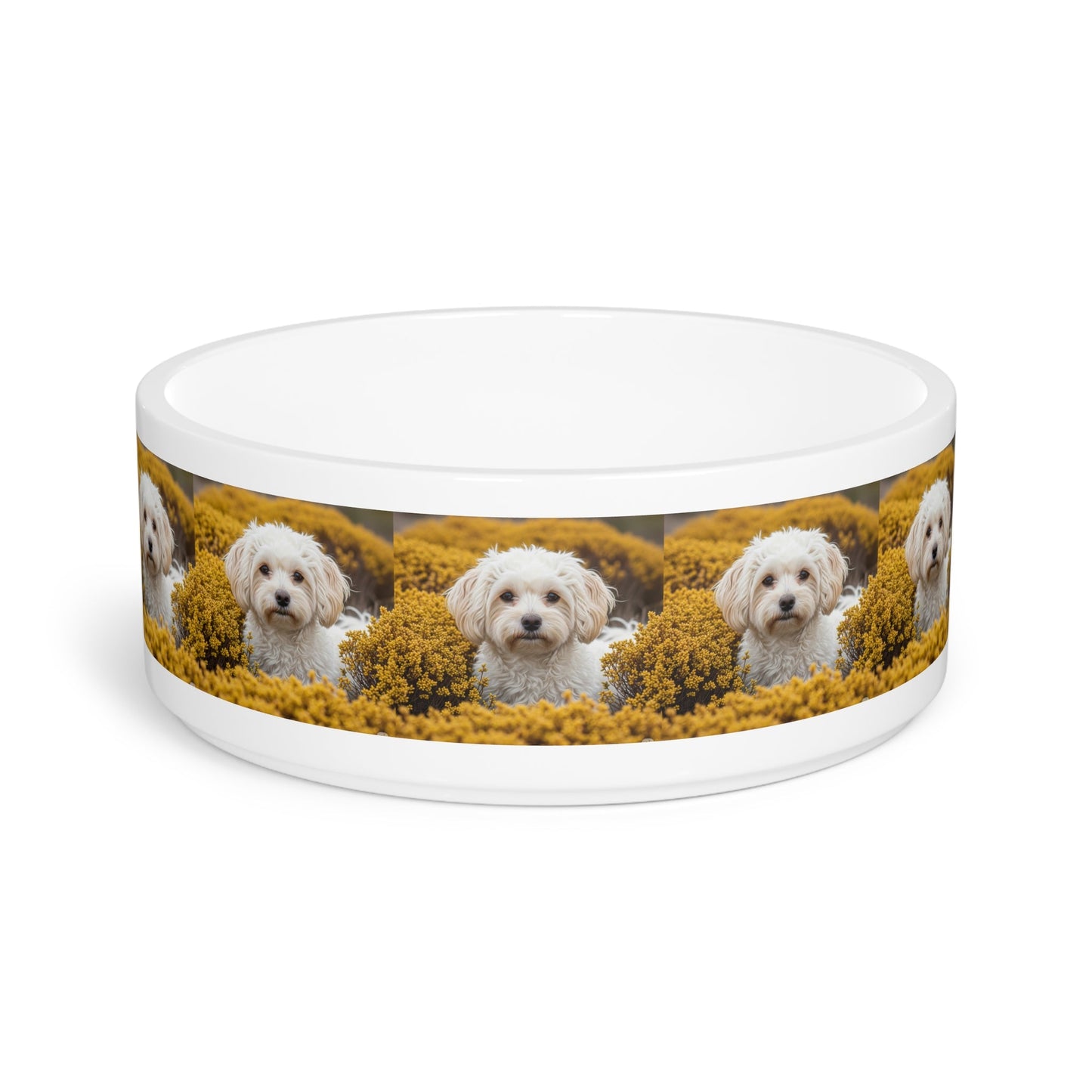 Ceramic Pet Bowl – 16 oz Dog Feeding Bowl