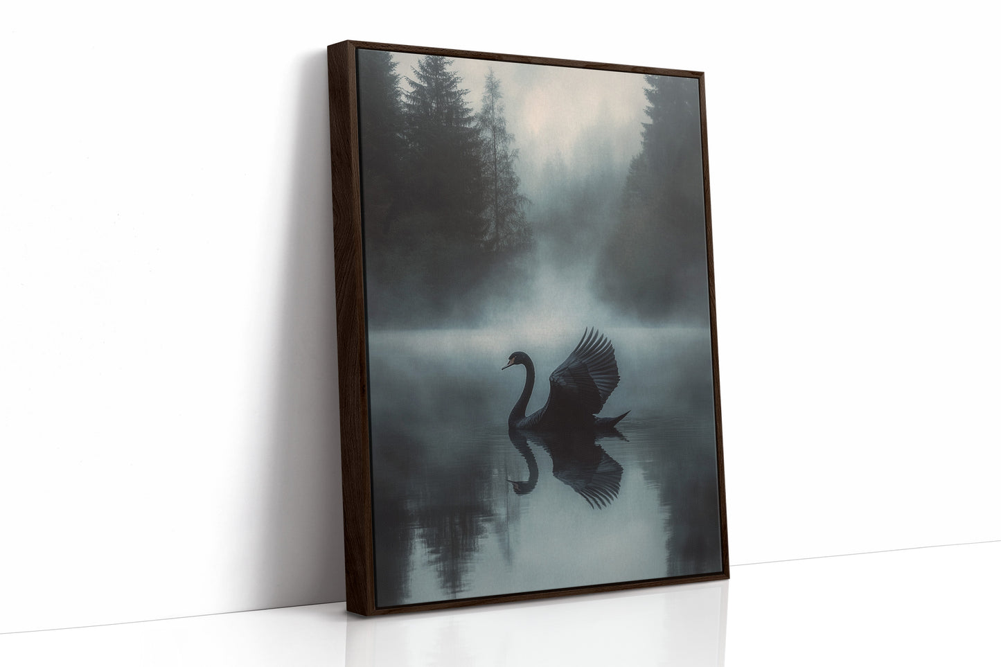 Black Swan in Morning Fog