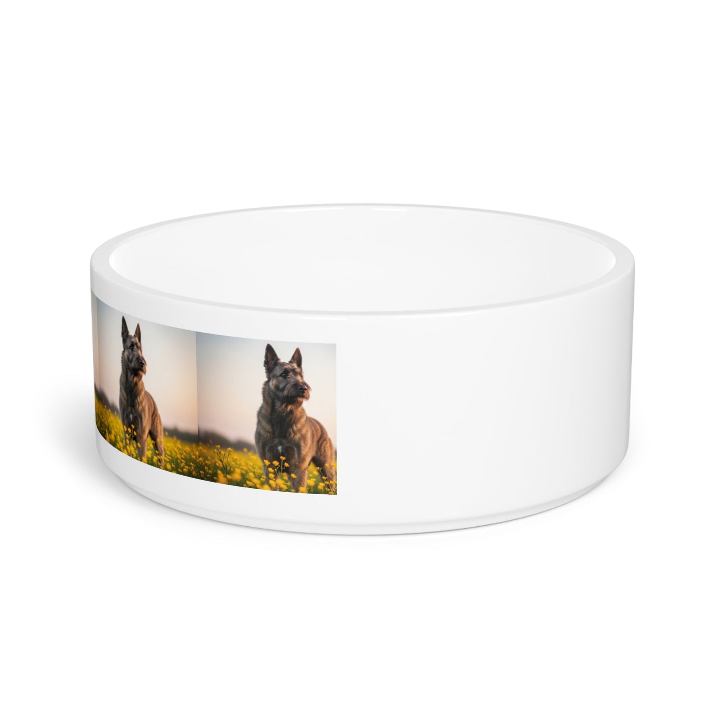 Ceramic Pet Bowl – 16 oz Dog Feeding Bowl