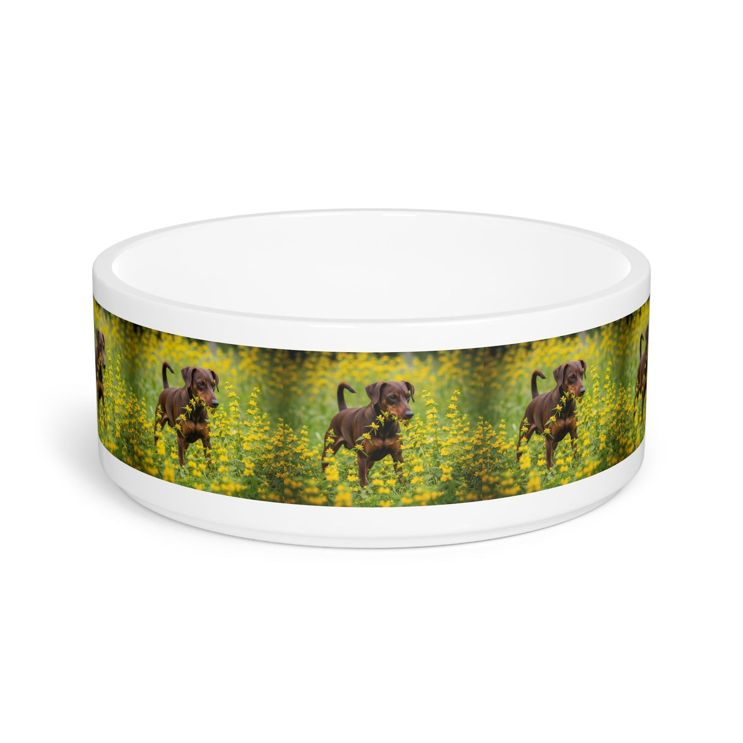 Ceramic Pet Bowl – 16 oz Dog Feeding Bowl