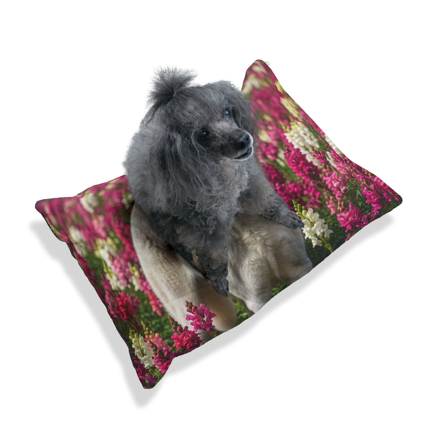 Lit pour animaux de compagnie – Lit douillet pour chien, 3 tailles disponibles