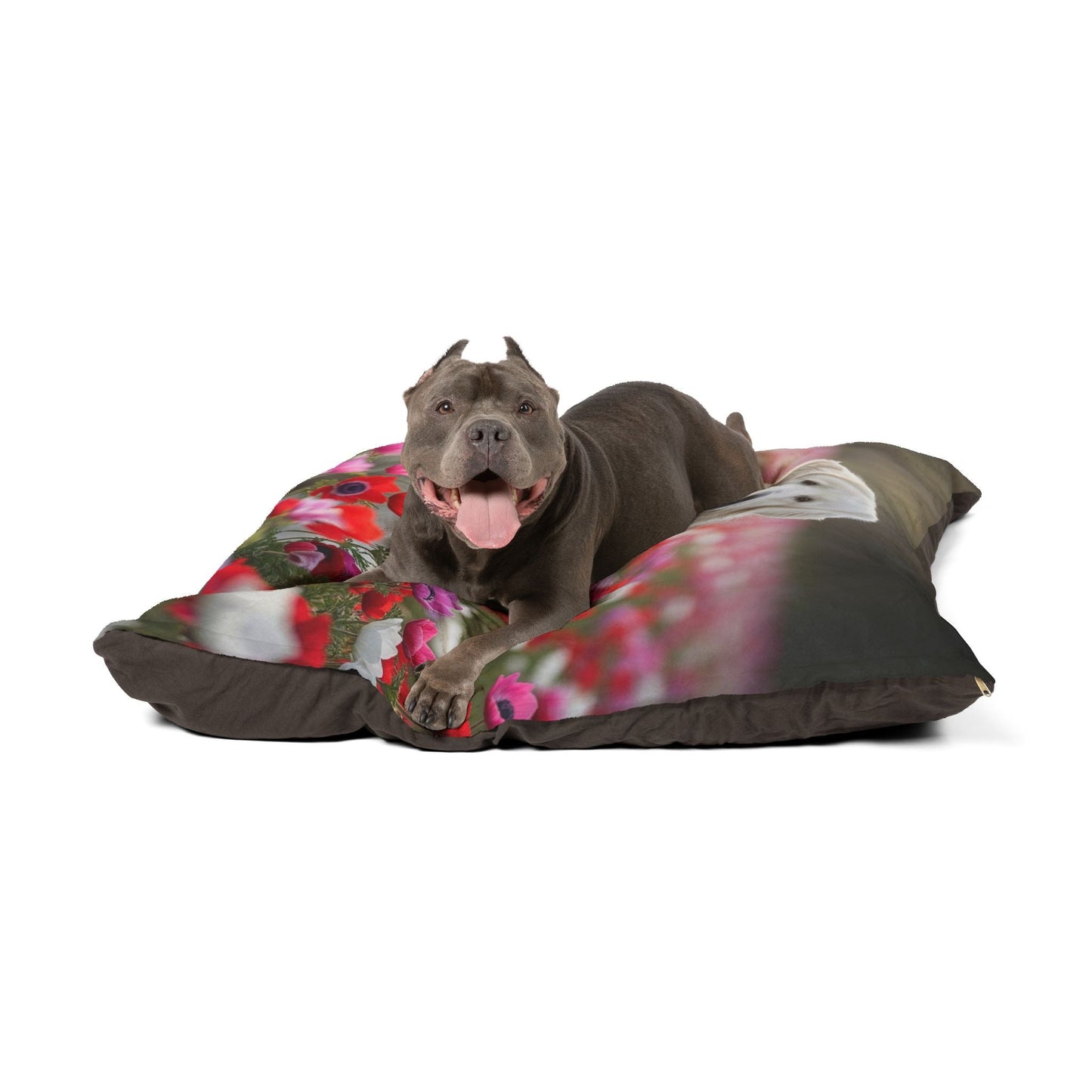 Lit pour animaux de compagnie – Lit douillet pour chien, 3 tailles disponibles