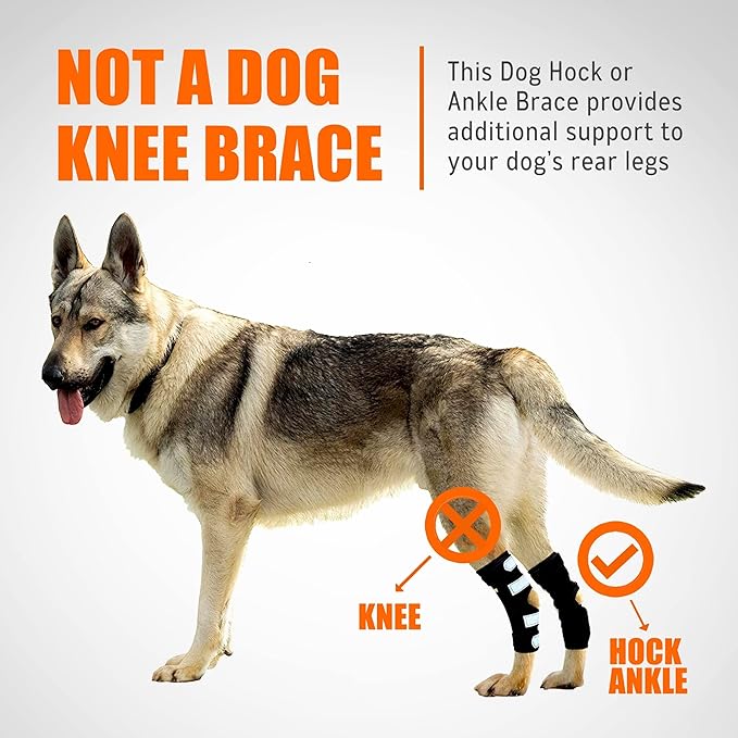 NeoAlly Hunde-Hinterbein-Hock-Bandage mit Metallfederstreifen für große Hunde [Lange Version] (Paar)