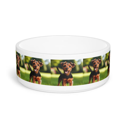 Ceramic Pet Bowl – 16 oz Dog Feeding Bowl