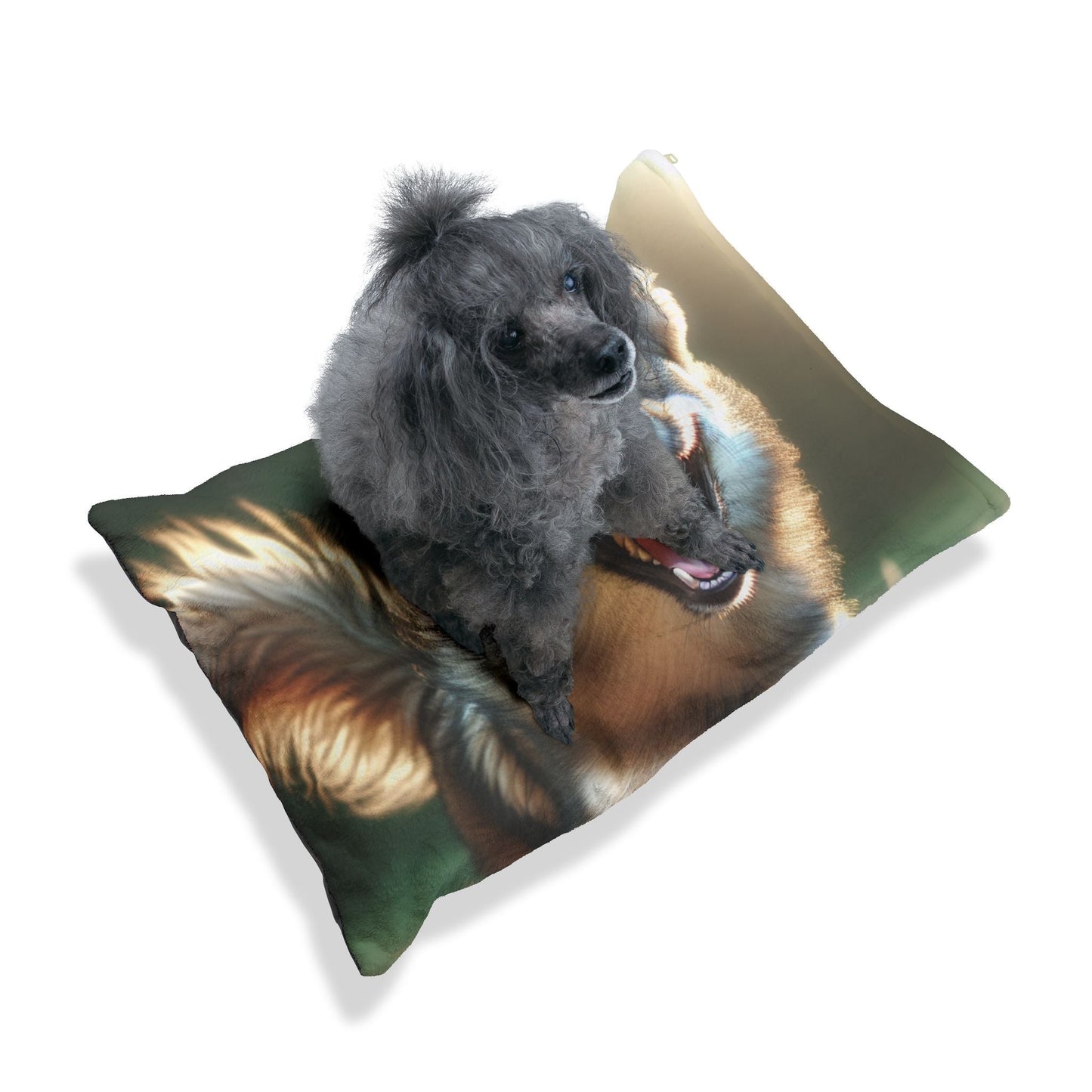Pet Bed – Plush Dog Bed, 3 Size Options