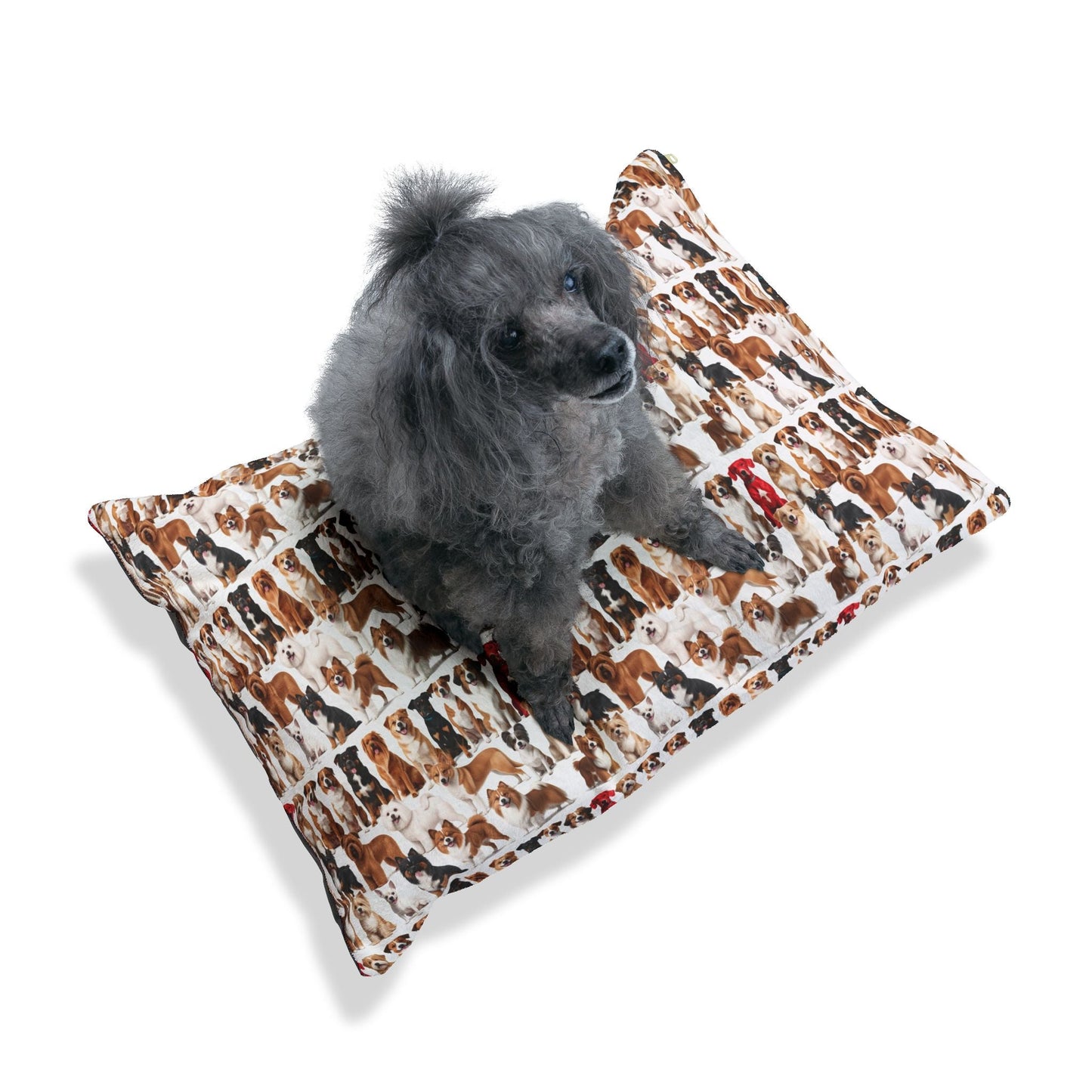 Haustierbett – Plüsch-Hundebett, 3 Größenoptionen