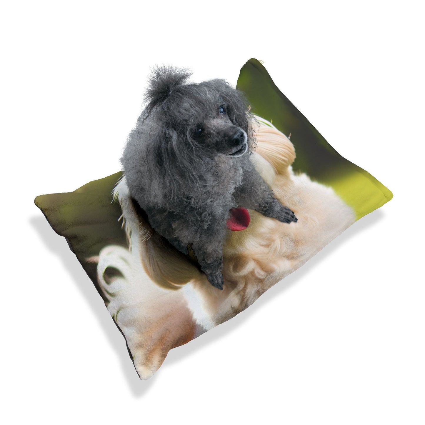Lit pour animaux de compagnie – Lit douillet pour chien, 3 tailles disponibles