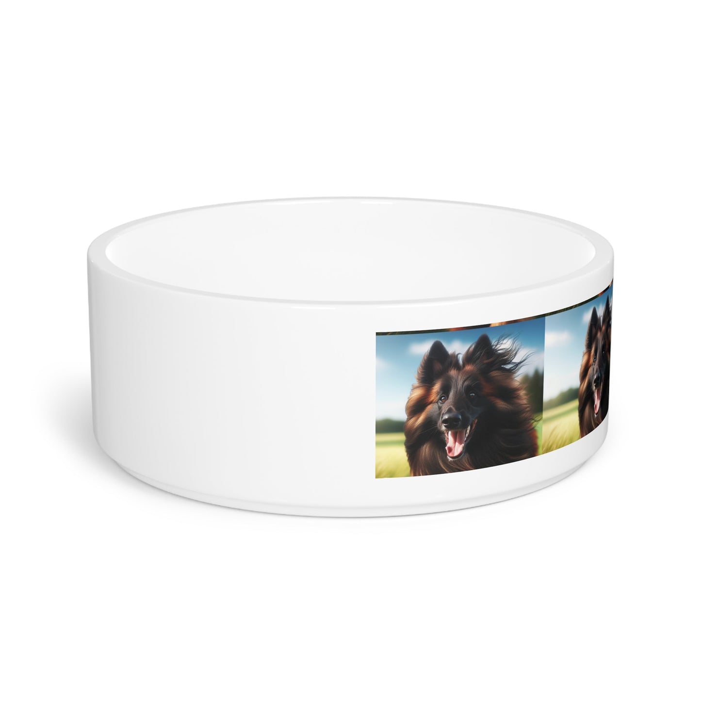 Ceramic Pet Bowl – 16 oz Dog Feeding Bowl