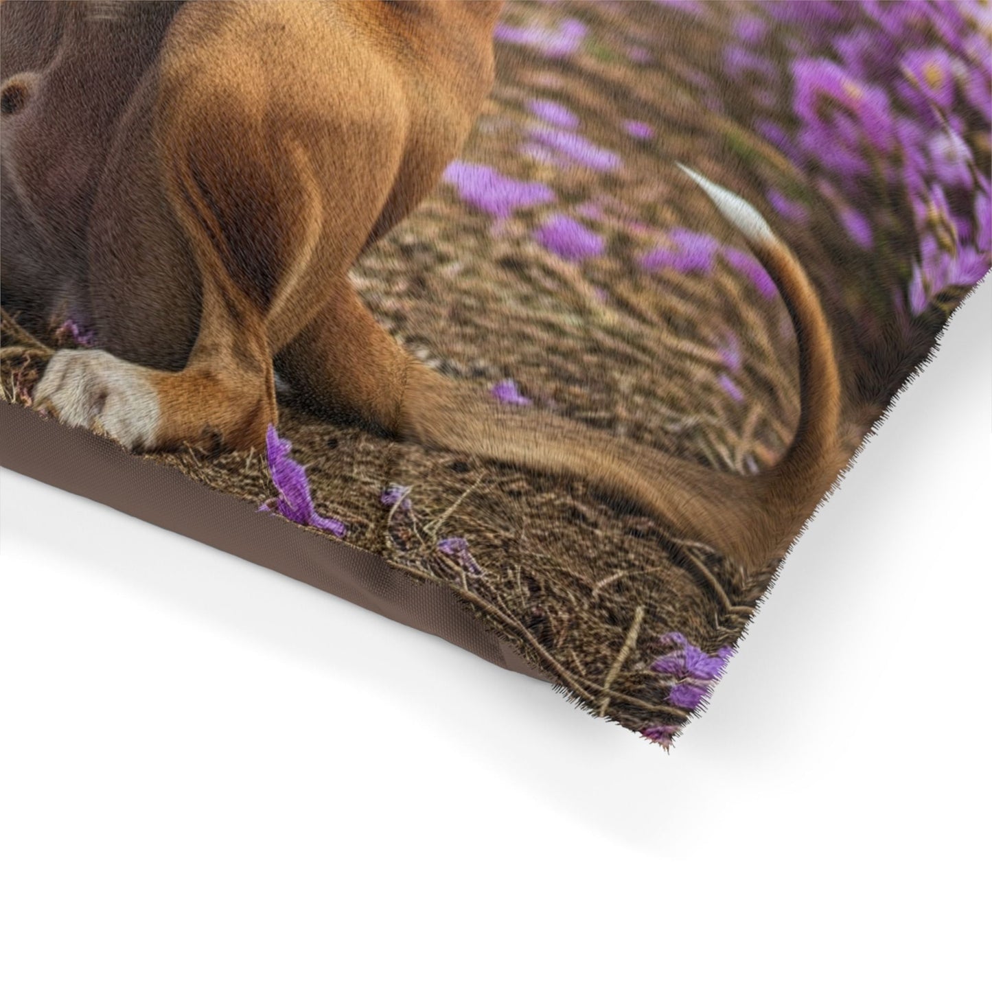Lit pour animaux de compagnie – Lit douillet pour chien, 3 tailles disponibles