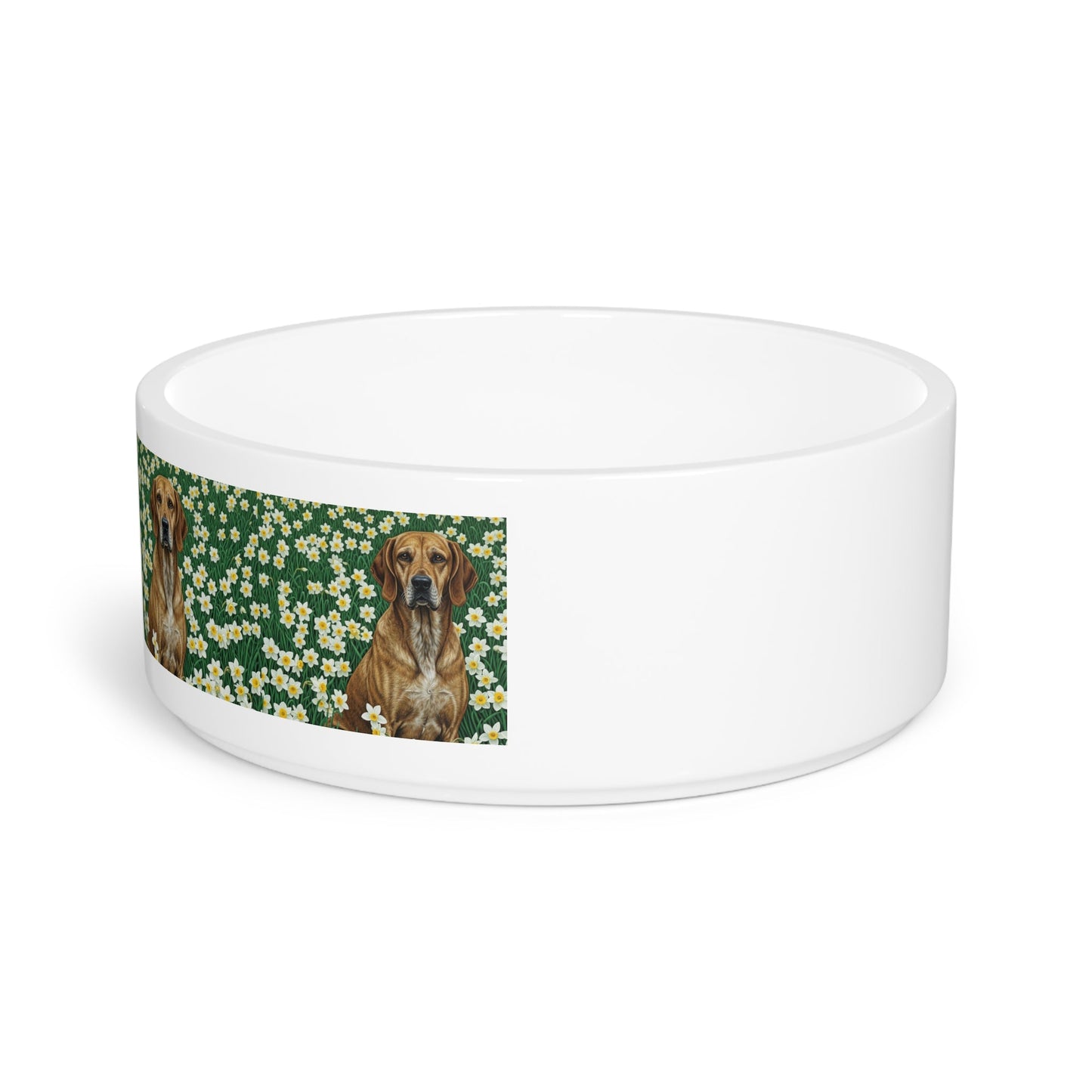 Gamelle en céramique pour animaux de compagnie – Gamelle de 47 cl pour chien