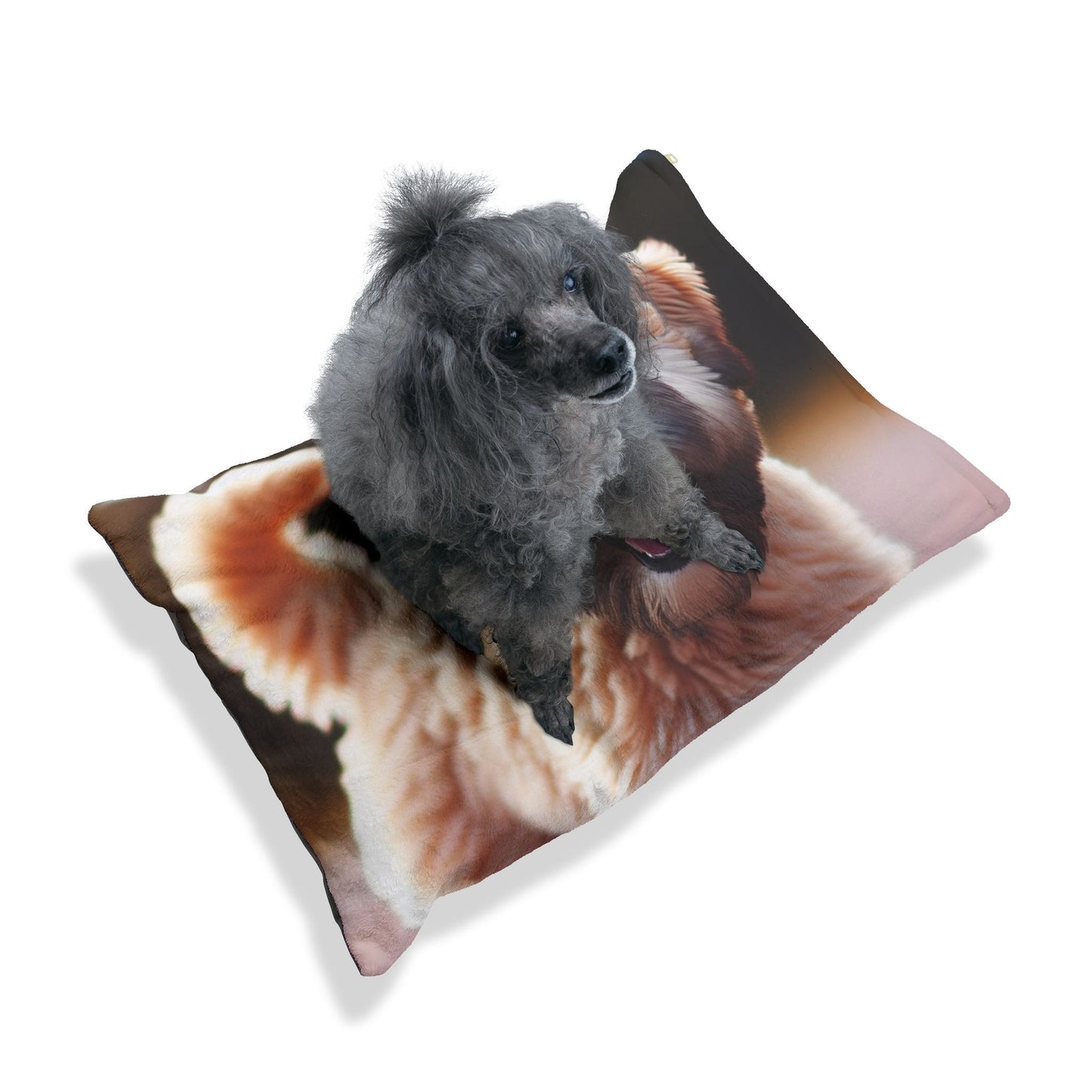 Lit pour animaux de compagnie – Lit douillet pour chien, 3 tailles disponibles