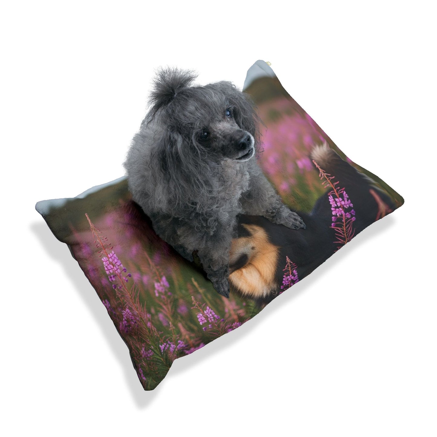 Lit pour animaux de compagnie – Lit douillet pour chien, 3 tailles disponibles