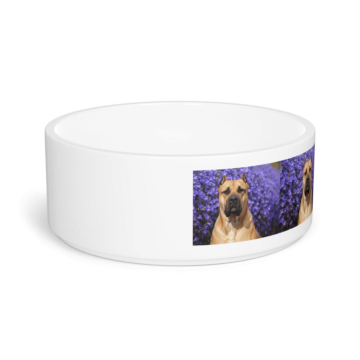 Ceramic Pet Bowl – 16 oz Dog Feeding Bowl