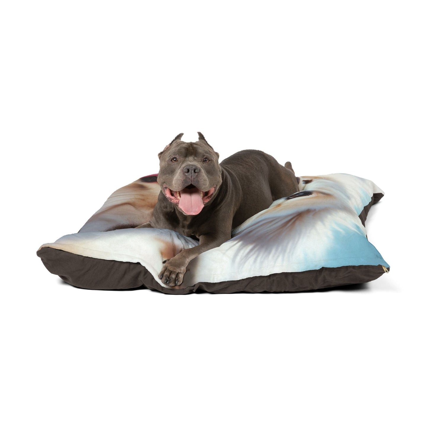 Haustierbett – Plüsch-Hundebett, 3 Größenoptionen