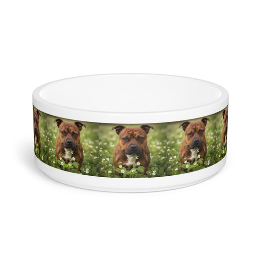 Ceramic Pet Bowl – 16 oz Dog Feeding Bowl