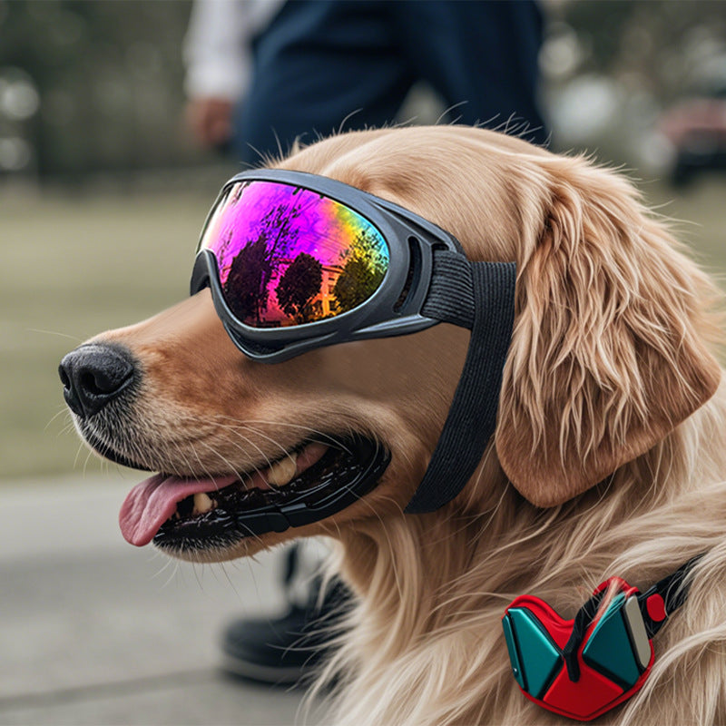 Dog Windproof Plastic Pet Glasses