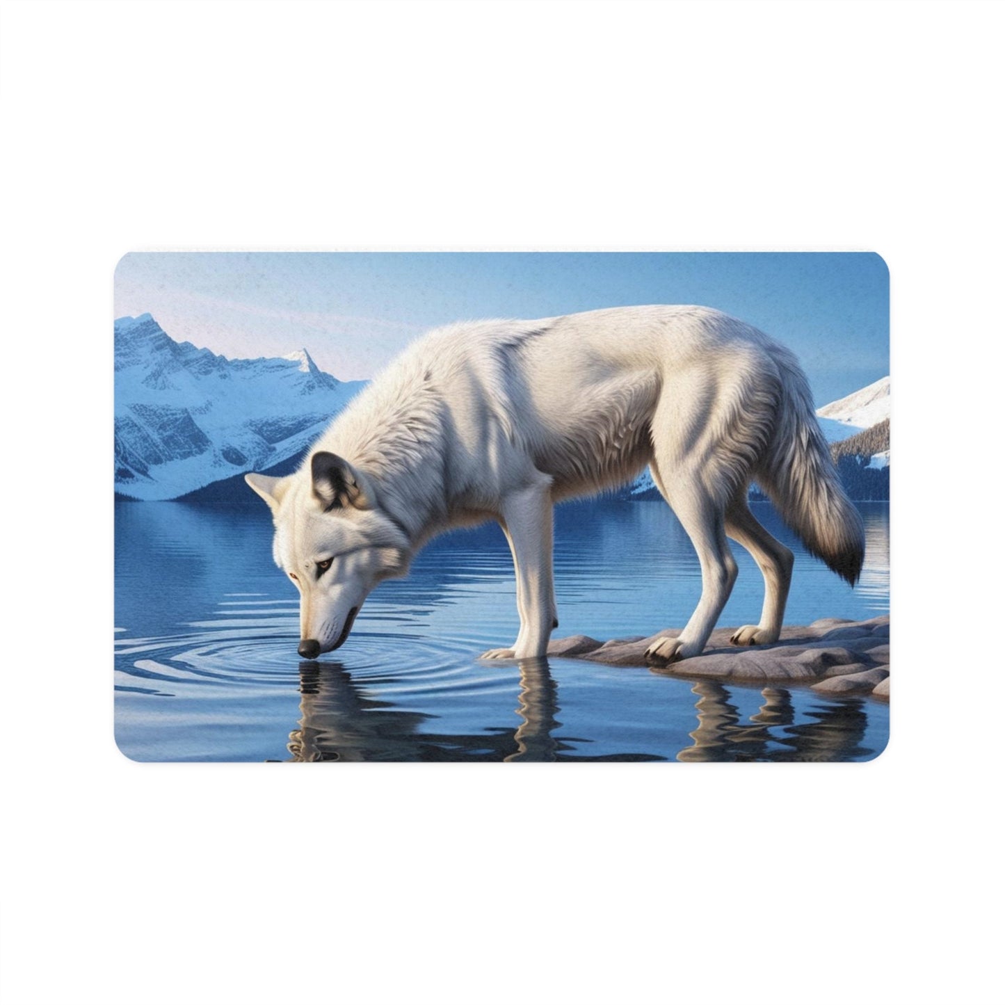 Tapis antidérapant pour animaux de compagnie – Tapis d'alimentation étanche pour chiens