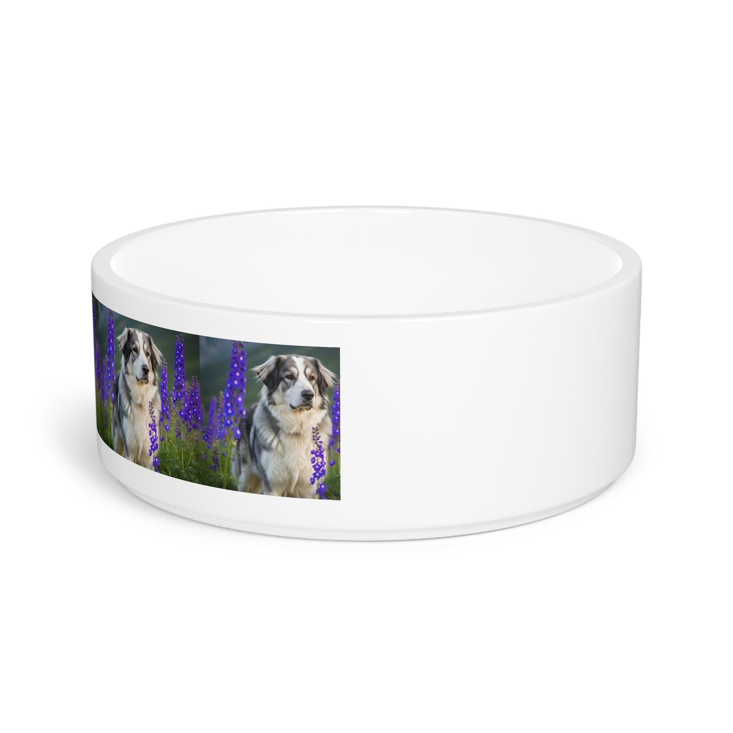 Gamelle en céramique pour animaux de compagnie – Gamelle de 47 cl pour chien
