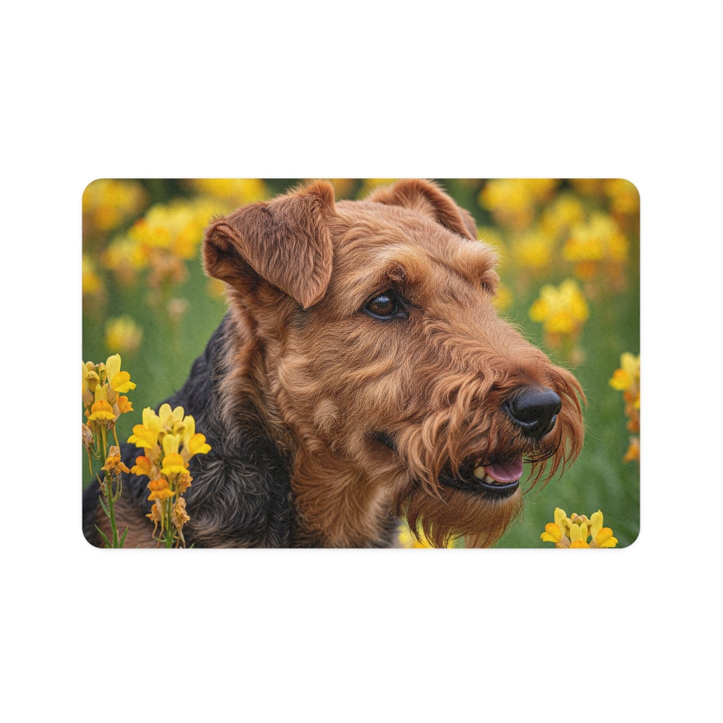 Tapis antidérapant pour animaux de compagnie – Tapis d'alimentation étanche pour chiens