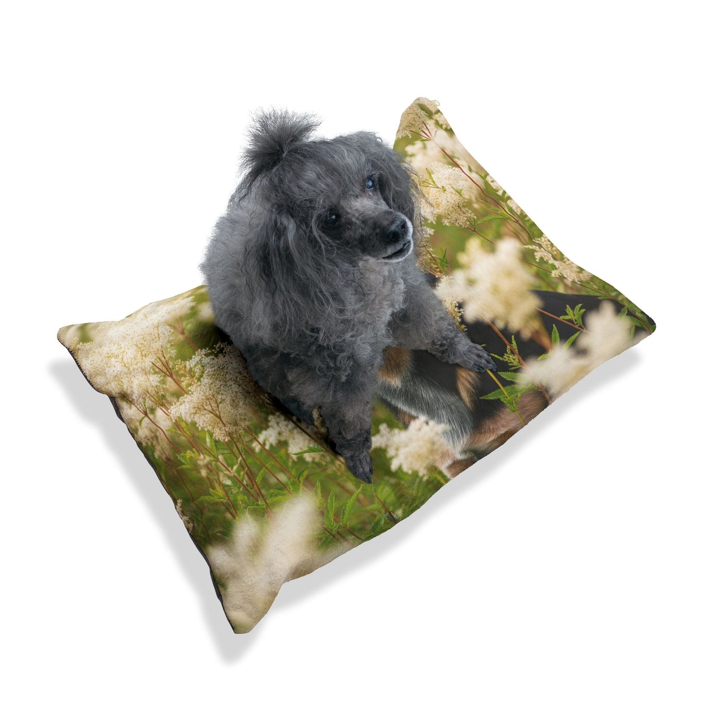 Lit pour animaux de compagnie – Lit douillet pour chien, 3 tailles disponibles