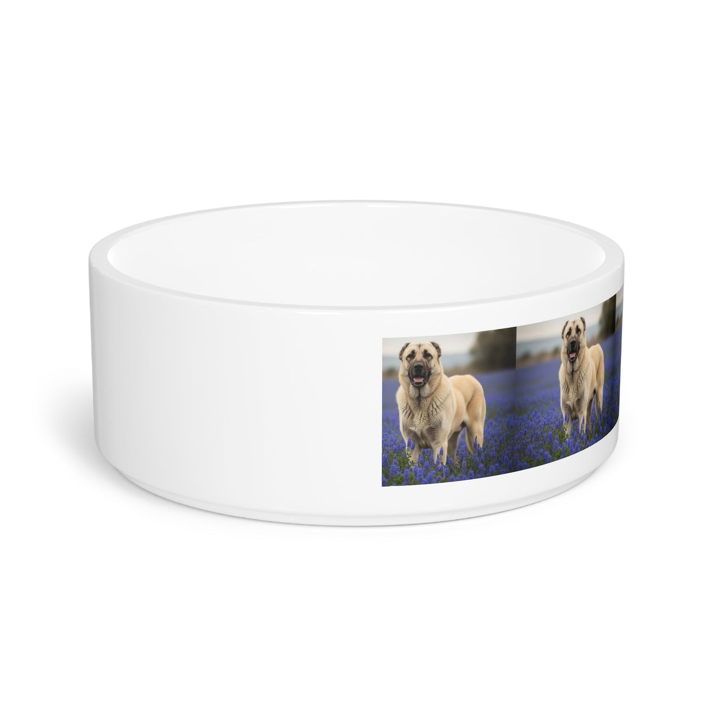 Ceramic Pet Bowl – 16 oz Dog Feeding Bowl