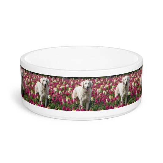 Ceramic Pet Bowl – 16 oz Dog Feeding Bowl