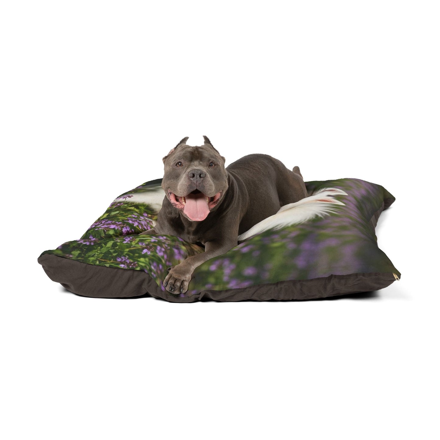 Haustierbett – Plüsch-Hundebett, 3 Größenoptionen