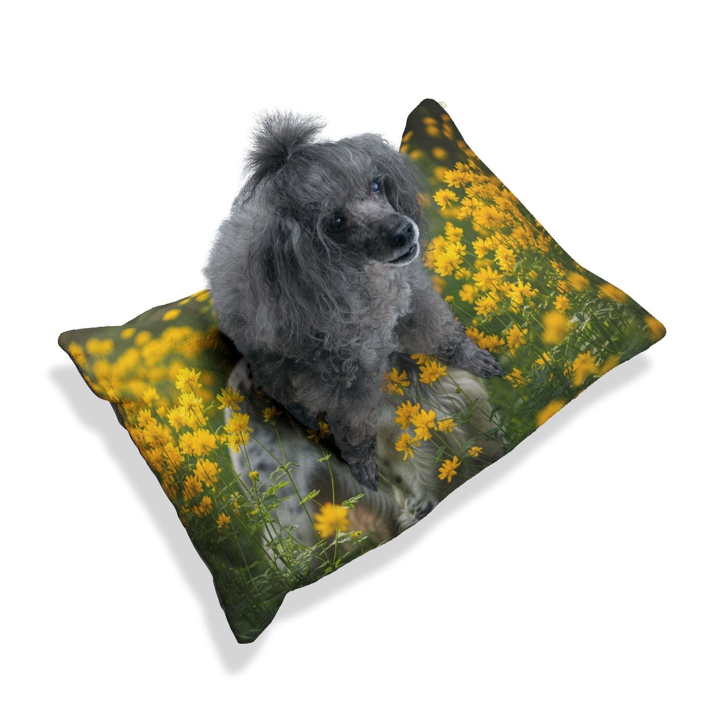 Haustierbett – Plüsch-Hundebett, 3 Größenoptionen