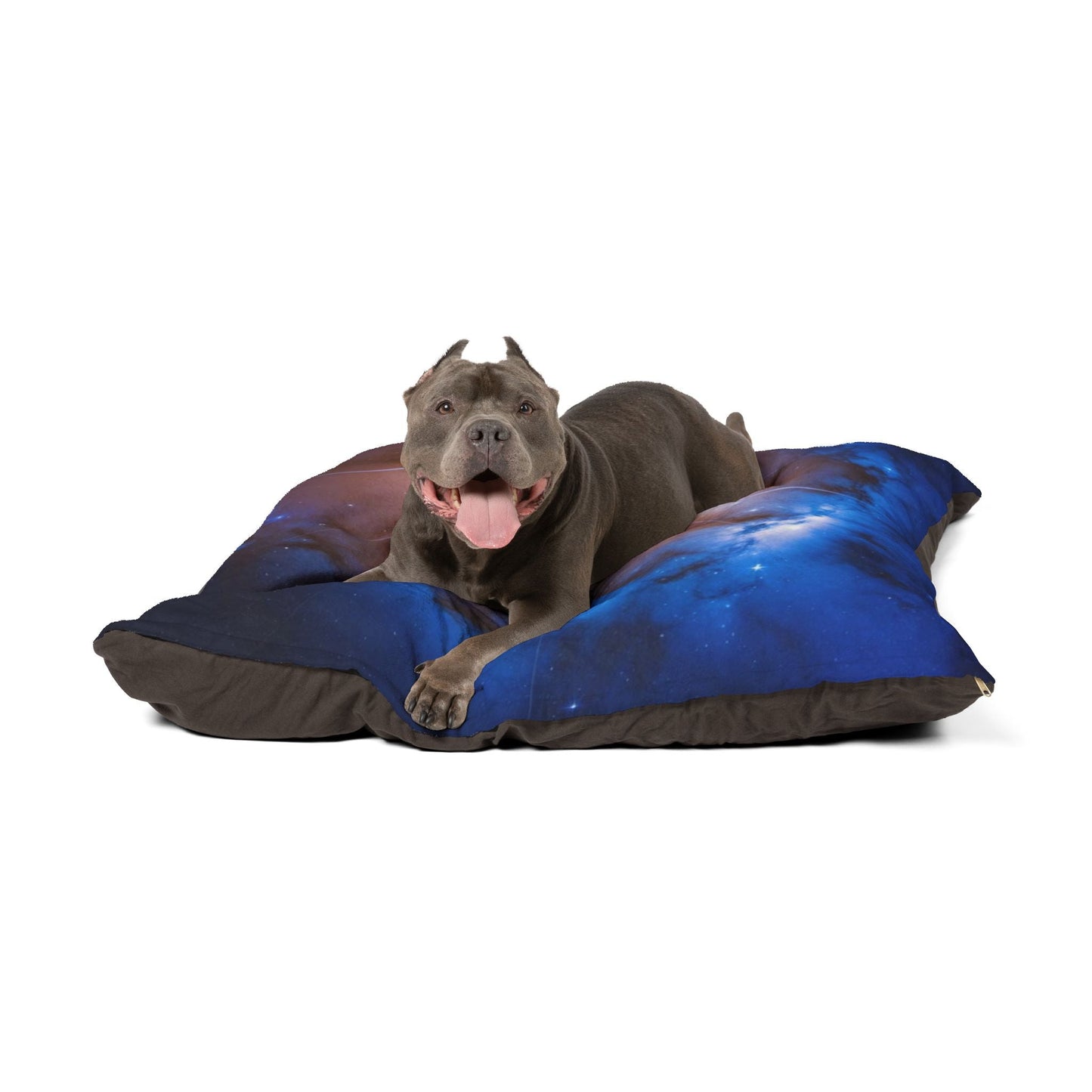 Lit pour animaux de compagnie – Lit douillet pour chien, 3 tailles disponibles