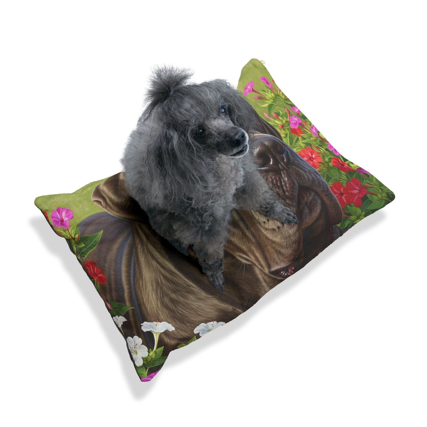 Lit pour animaux de compagnie – Lit douillet pour chien, 3 tailles disponibles