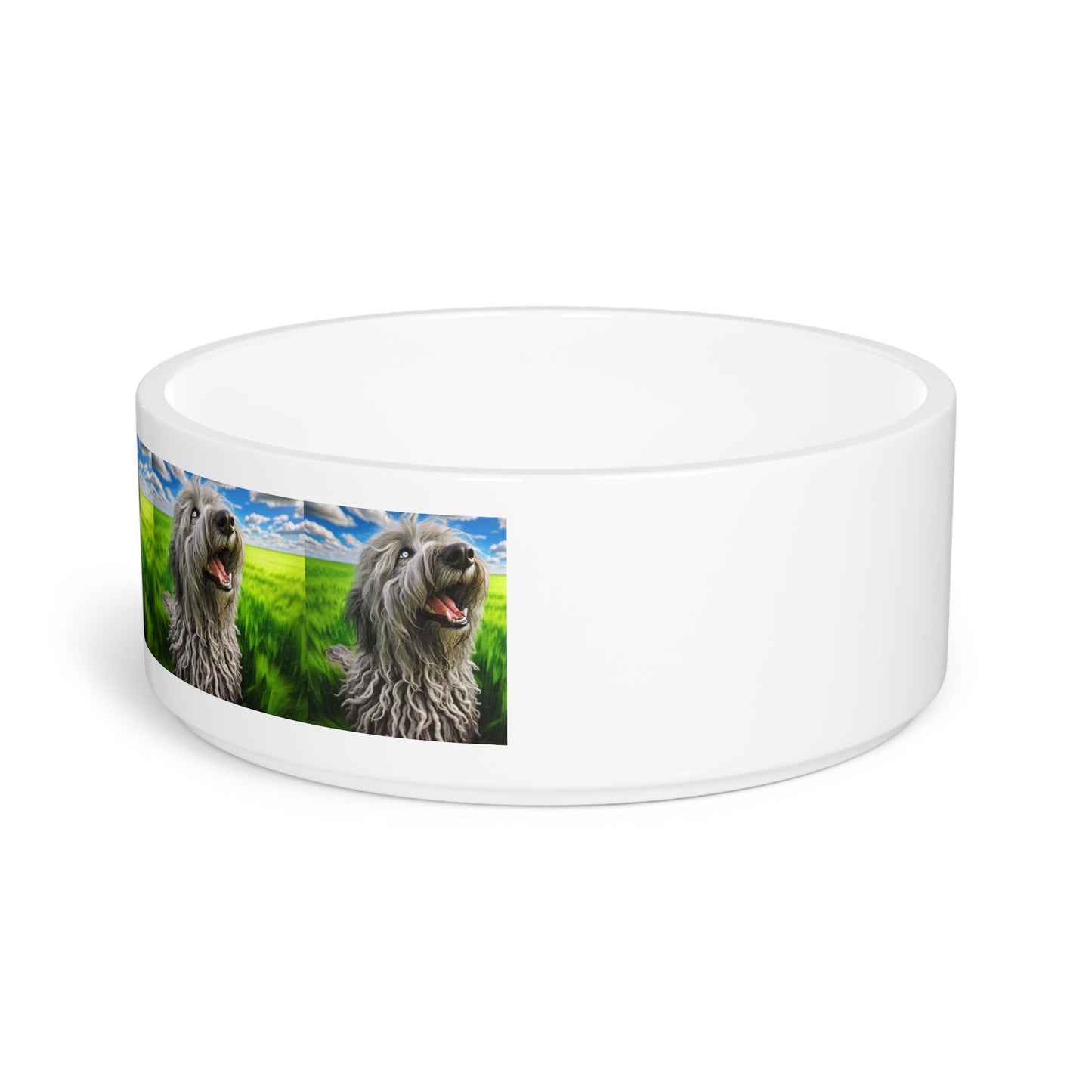 Gamelle en céramique pour animaux de compagnie – Gamelle de 47 cl pour chien
