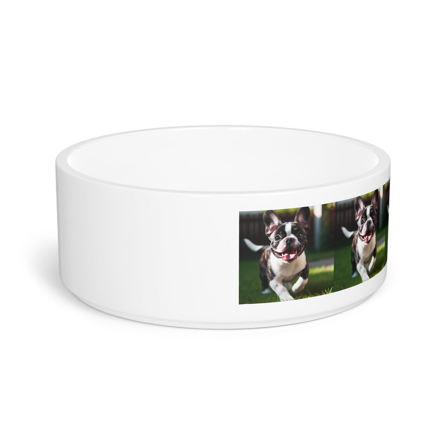 Ceramic Pet Bowl – 16 oz Dog Feeding Bowl