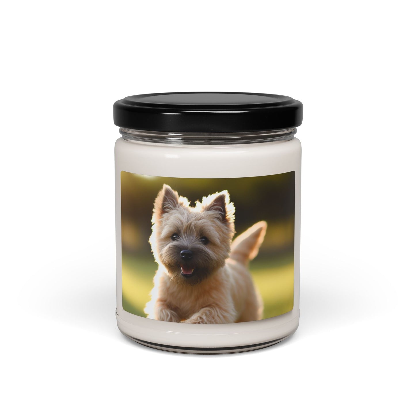 Soy Candle – Scented Jar Candle