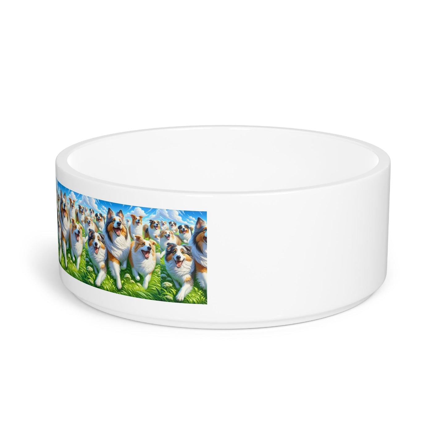 Gamelle en céramique pour animaux de compagnie – Gamelle de 47 cl pour chien