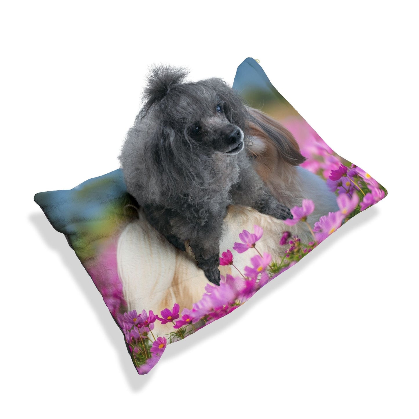 Lit pour animaux de compagnie – Lit douillet pour chien, 3 tailles disponibles